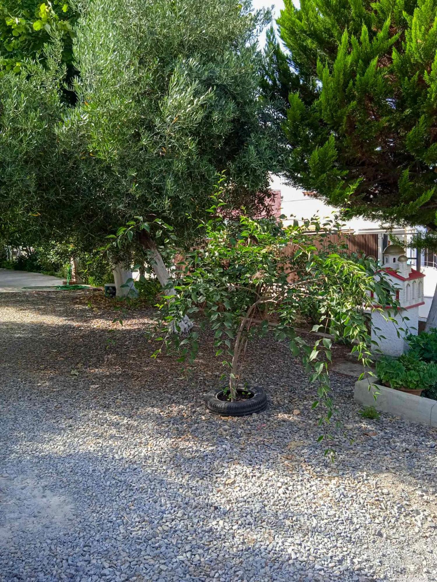 Κυανή Ακτή - Agia Paraskevi Макрі Екстер'єр фото